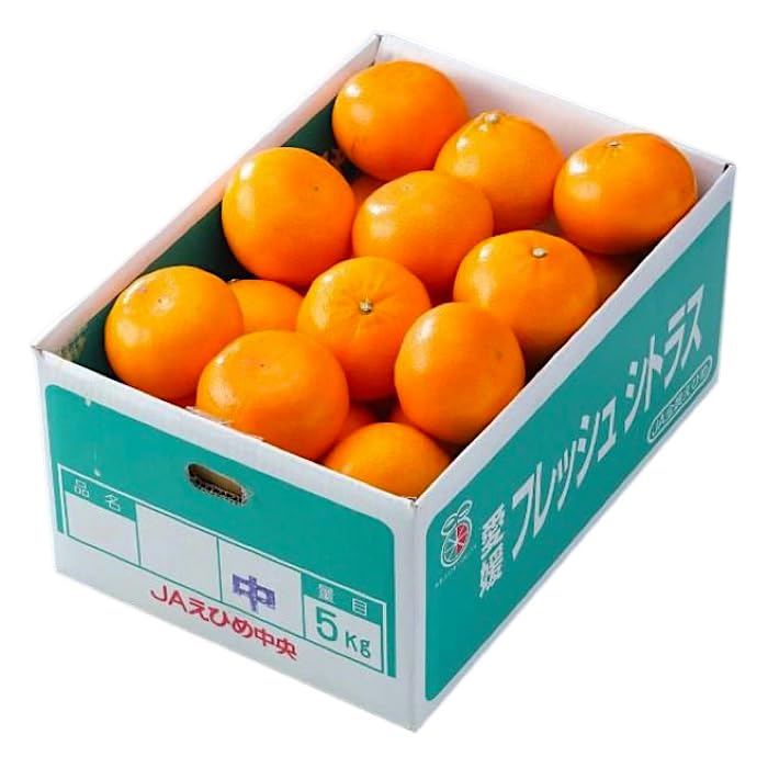 Amazon.co.jp: 【絶品】高級みかん「せとか」約5kg 特選 糖度:約13-14