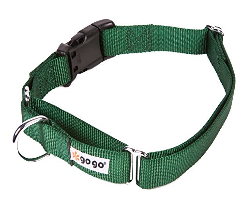 GoGo Pet Products GoGo 3/4-Inch Martingale Dog Collar, Medium, Hunter Green