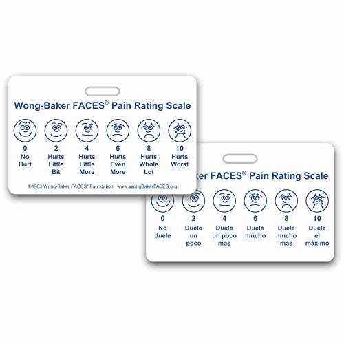 Stephanee Beggs's Amazon Page