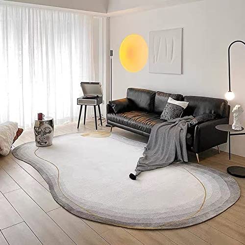 Tapis épais et moelleux en peluche lavable pour chambre à coucher