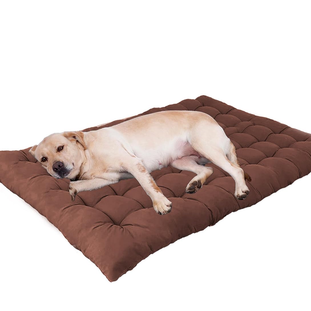 Tapis anti-anxiété pour chiens de grande taille marron dans le salon