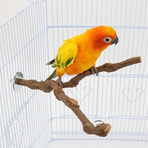 Image of 5PCS Natural Wood Stand 2 Wooden Platform 1 Swing 1 Grape Stick Paw Grinding Fork 1 Azalea Wood Stand Cage Accessortes for Birds