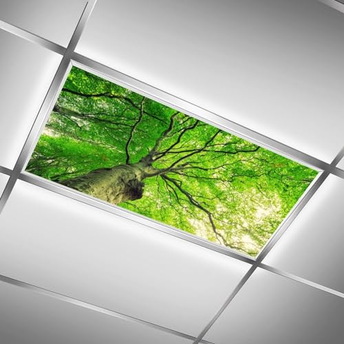 Image of Fluorescent Light Cover for Classroom - 2 Pcs Spring Trees Magnetic Fluorescent Light Covers, Ceiling Light Covers Shade Panel Coverings for Office Classroom Home Drop Ceiling, 4 x 2 Feet