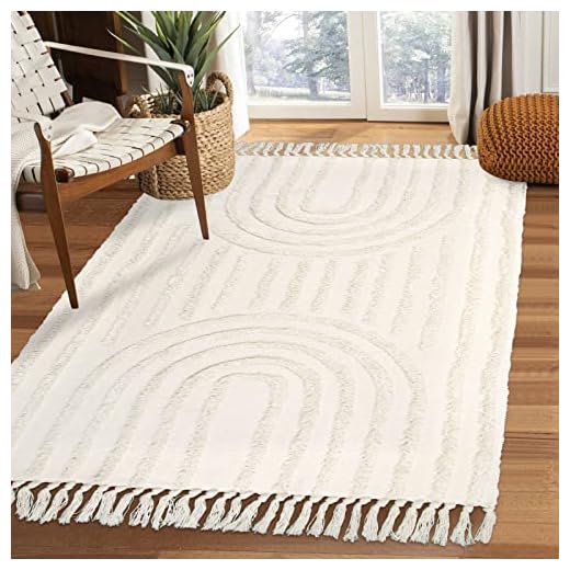 Lanffia Boho Rugs for Living Room 4x6, Farmhouse Cotton Area Rug