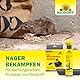 Neudorff Sugan RattenKöder Depot – Zur sicheren Platzierung von Rattenködern oder Einer Schlagfalle für eine effektive Rattenbekämpfung, 1 Stück