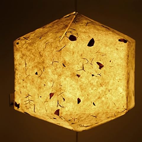 Brownfolds Rose Petals Paper Lantern White Cover
