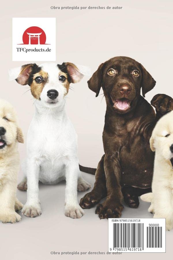 Miniatura 2 de SUDOKU 9x9 Pequeño Sudoku Ejercicio mental Juegos de viaje 1000 Sudokus (Spanish Edition)