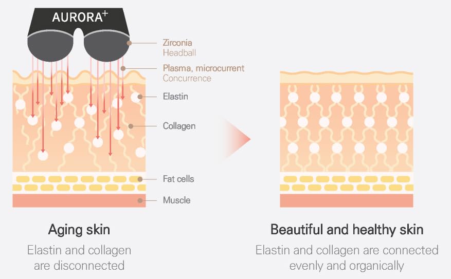 Amazon.co.jp: SAY SKIN AURORA+ セイスキン オーロラプラス (ブラック  