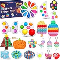 23-Piece Besnel Fidget Toy, Sensory Toy Set