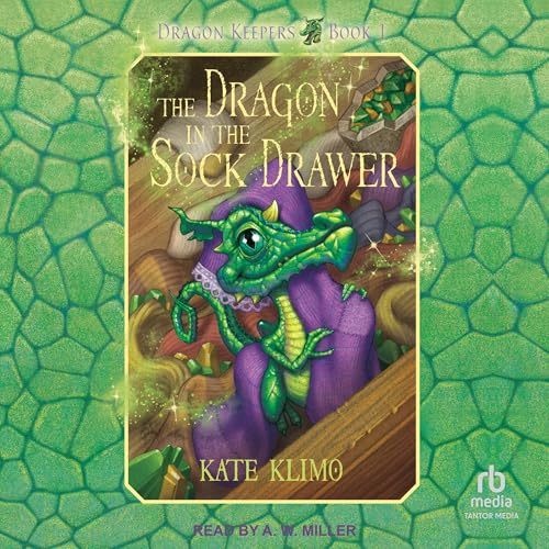 Page de couverture de The Dragon in the Sock Drawer