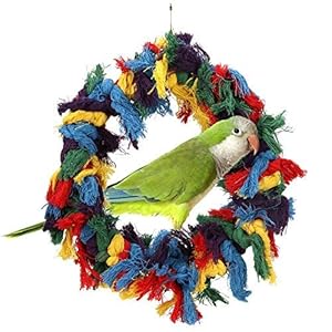 Bird Parakeet Colorful Swing Toys,Cotton Rope Chew Hanging Bird Preening Garland Swing for Budgie Parakeet Cockatiel Macaw African Grey