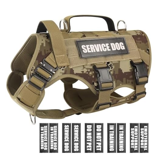 Tactical Mollee Vest for Large Dogs