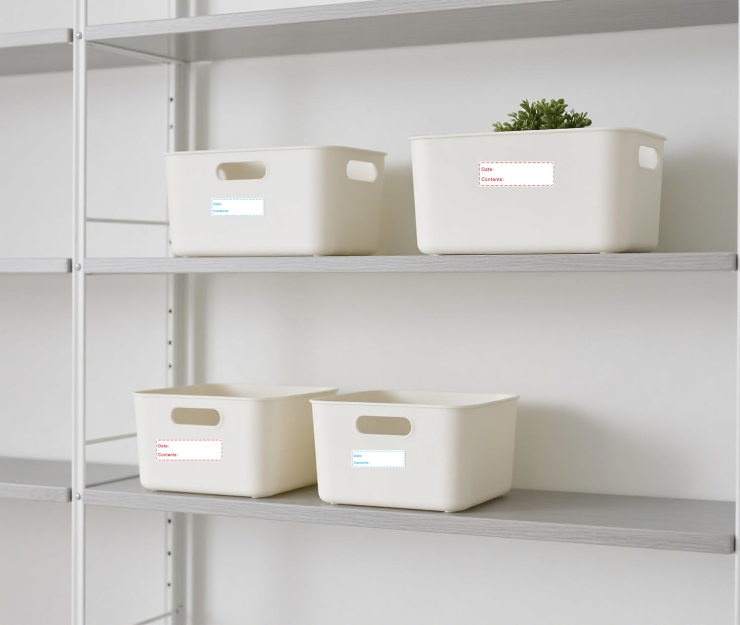 8 rotoli da 1000 etichette rimovibili per congelatore, 2,5 x 7,6 cm, adesivi per la conservazione degli alimenti, adesivi per data, facili da pulire e scrivere (1000 pezzi)