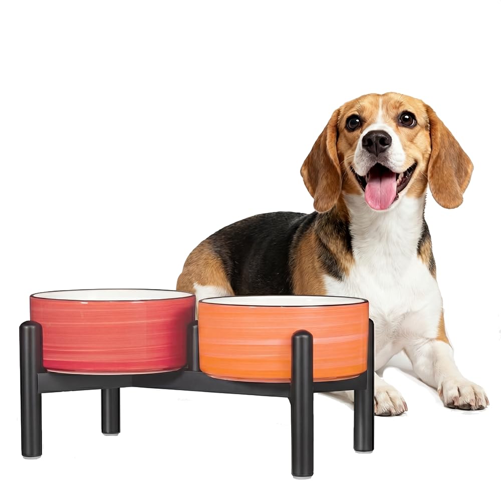 Ceramic Elevated Dog Bowl Set - Dog Feeder Station with Colorful Double Bowls for Small and Medium Size Breed - Non-Slip Raised Dish for Food and Water Feeding - 3.5 Cups / 22 fl oz - Sunset Duo