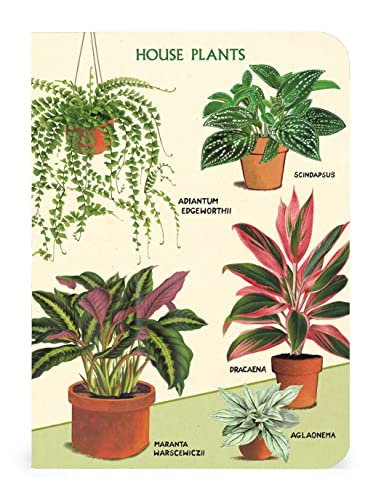 Carnet de notes Cavallini idée cadeau originale pour passionnés de botanique