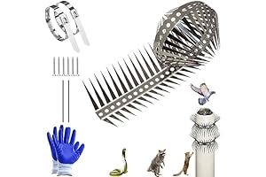 Squirrel Deterrent Spikes: Protect Your Feeders and Trees