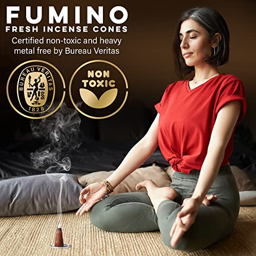 Fumino FIC-BUNDLE Fresh Incense Cones Multipack Essentials Bundle 6 Boxes 120 Cones Masala Agarbatti Joss Scent Fragrance thumb #5