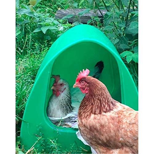Cockodoodles Coop Nest Box for Chickens/Poultry/Ducks - Dust Bath
