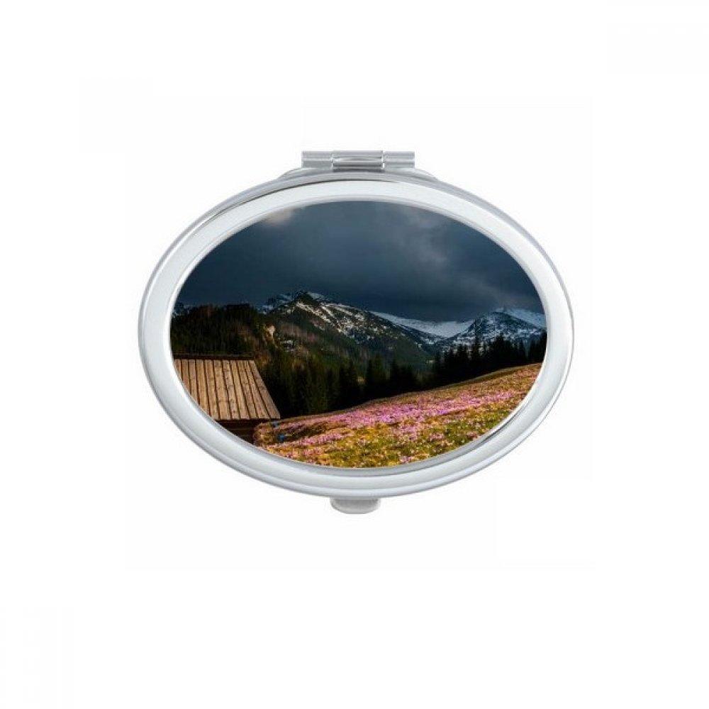 Miroir compact grenouille noir et blanc petit miroir maquillage de poche portable carré