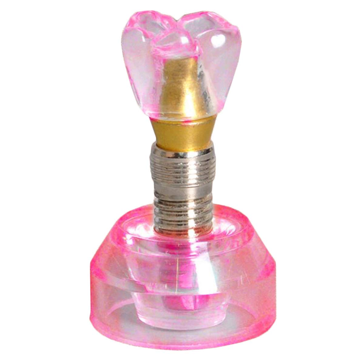 Sjdopulse C Implant Teeth Model Transparent Teeth Model - Dentist Standard Implant Dental Model - Removable Teeth Teaching Model For Oral Teaching Training Kit (C)
