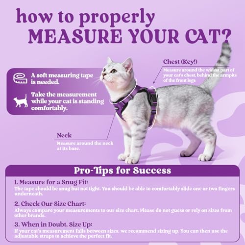 Image of rabbitgoo Cat Harness and Leash Set, Escape Proof Vest, Purple