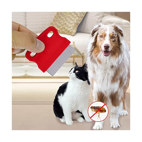 1 Stück Katzenkamm, Flohkamm für Katzen, Hunde, Läuse, Tränen, Fleckenentferner, Kämme, feine Zahnpflege, Werkzeug zum Entfernen von Zähnen (rosa) – Bild 5