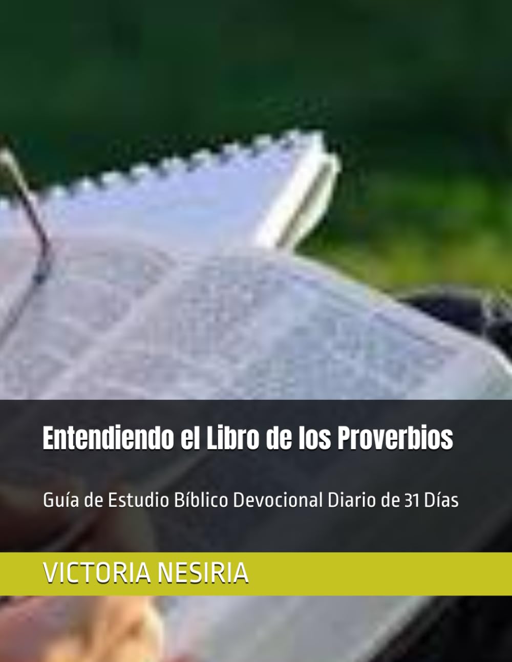 Entendiendo el Libro de los Proverbios: Guía de Estudio Bíblico Devocional Diario de 31 Días (Guía de Estudio Bíblico Devocional Diario: Desde Génesis hasta Apocalipsis)