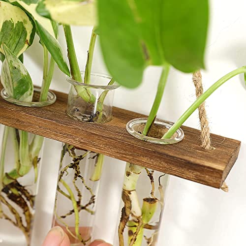 WERTSWF Wall Hanging Glass Planters - Image 3
