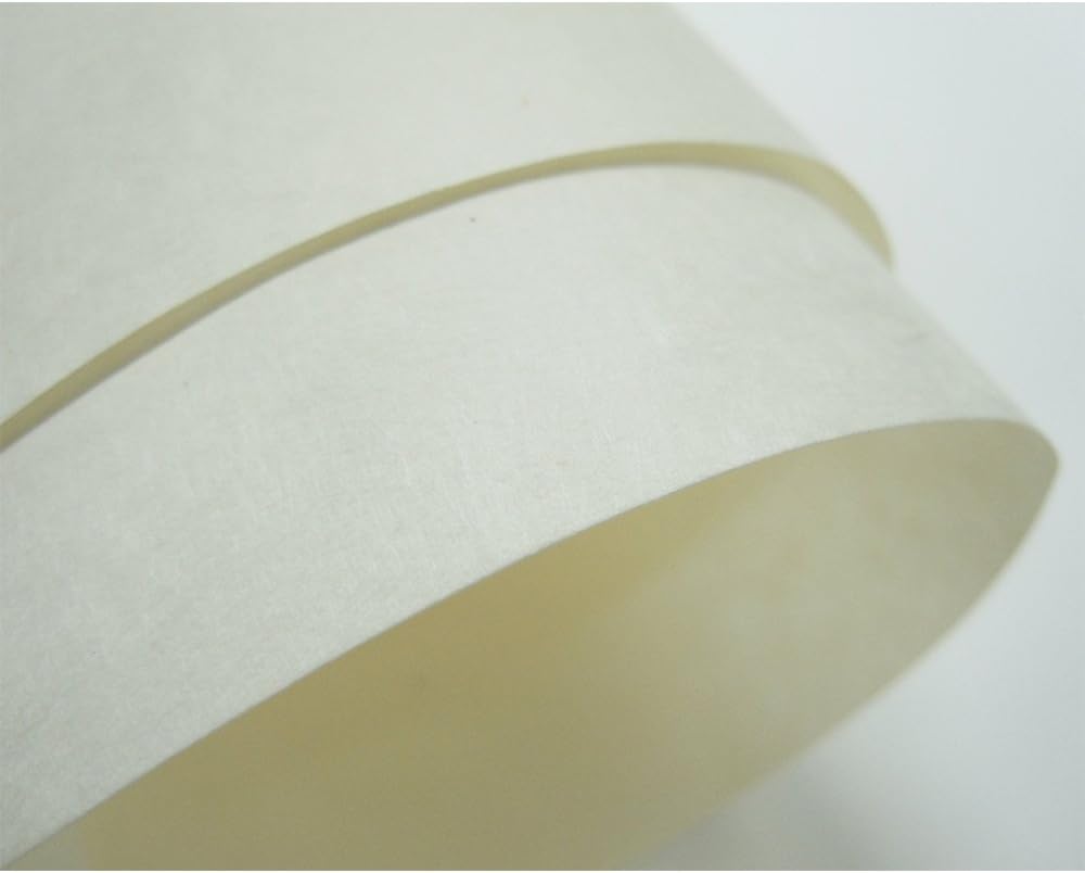 SAKAE B5-JWA Technical Paper Washi Thick Goose Skin B5 20 Sheets