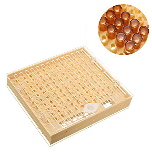 Suszian Beekeeping Queen Rearing Cup Kit,Bee Cultivating Box Kit Plastic Bee Queen Cage Queen Bee Incubation Box