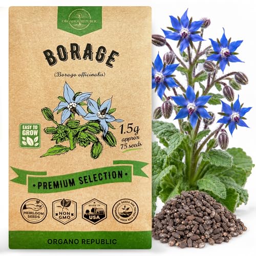 Borage Seeds Pack 1.50 G - Over 75 Non-GMO Heirloom Borage Seeds for Planting Herbs in Individual Seed Packet Herbs Seeds for Planting Home Garden Indoor & Outdoor Gardening