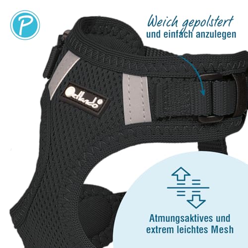 Petlando Hundegeschirr Mesh Vest, leichtes Brustgeschirr aus weichem Mesh & Nylon, stufenlos verstellbar, reflektierend mit 2 D-Ringen, Schwarz M, Welpengeschirr mitwachsend