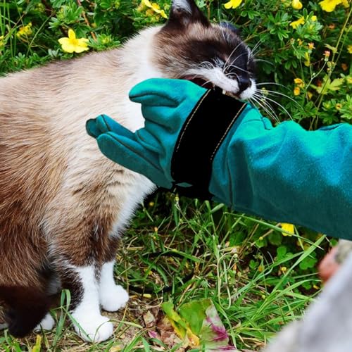 Anti-Bisshandschuhe für Hunde und Katzen, Fellpflege-Handschuhe, Leder-Schweißhandschuhe, Vogelhandhabung, Falkenhandschuhe, Greifer, Anti-Biss-Futterhandschuhe