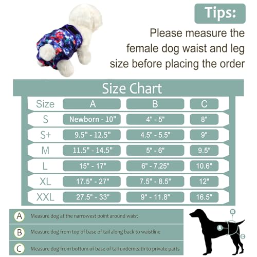 Image of Washable Female Dog Diapers (5 Pack) - Doggie Reusable Small Medium Large Dog Diapers for Doggy Puppy Female in Period - Highly Absorbent Dog Heat Panties,S Plus,Rose