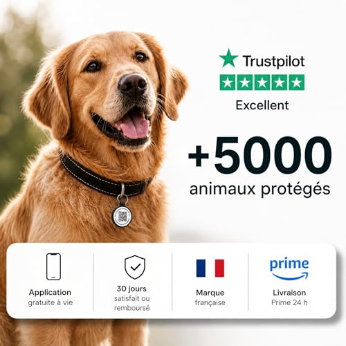 Médaille chien chat QR code Animoco : lot de 2 plaques d'identification étanches