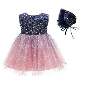 Glamulice Baby Flower Girls Sparkle Tulle Ombre Tutu Dress Baptism Christening Outfit Special Occasion Birthday Dresses