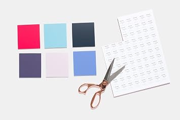 Pantone TPG 8.5X11 Sheet 16-1348 Tomato Cream