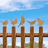 Ampia gamma di applicazioni: possono essere attaccati a rami o alberi come decorazione per le finestre da giardino, creando un'atmosfera viva. Questo unico albero da giardino è ideale per giardini, patio, parchi, fence, alberi, balconi o patio come pezzo decorativo per migliorare il vostro giardino. Cattura sicuramente gli occhi di altri piccoli pezzi di arte sono l'aggiunta perfetta alla tua pentola per fiori preferita, perché sono ispirati dalla natura e dall'intrattenimento