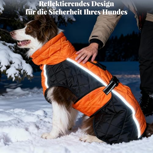 BECROWM Hundemantel mit reflektierendem Design, Winddicht und wasserdicht, verdickter Kragen für Windschutz, verstellbare Schnalle, warme Winterjacke (Orange/Schwarz, M (58,6-68,6 cm))