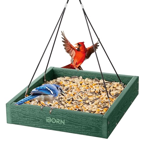 iBorn Platform Bird Feeder Tray Bird Feeders for Outdoors Hanging for Outside Flat Birdfeeder Tray with Large Capacity 3LBS, WPC Recycled Plastic & Cedar Look, Waterproof, 10.6'x10.6', Green