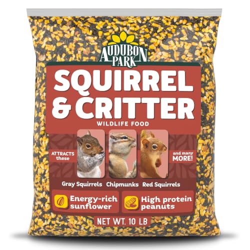 Audubon Park Squirrel & Critter...
