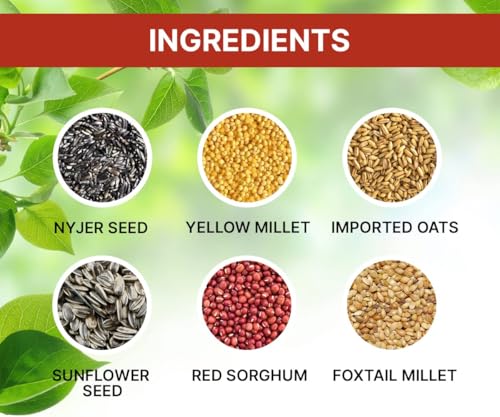 Image of Boltz Bird Food for Cockatiel & Lovebirds Mix Seeds 1.2 Kg * 4, Canary Seed, Sunflower Seed, All Stage Bird Food, Natural and Healthy Premium Seeds, Improve Birds (Mix Seed,4800 Gm)