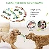 LEGEND SANDY Puppy Toys, Squeaky Dog Toys for Small Dogs, 12 Pack Puppy Chew Toys for Teething, Dog Rope Toy and Cute Stuffed Animals Value Bundle #4