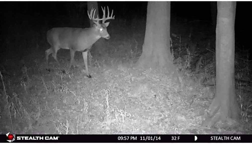 Stealth Cam 8MP 30IR Game Camera
