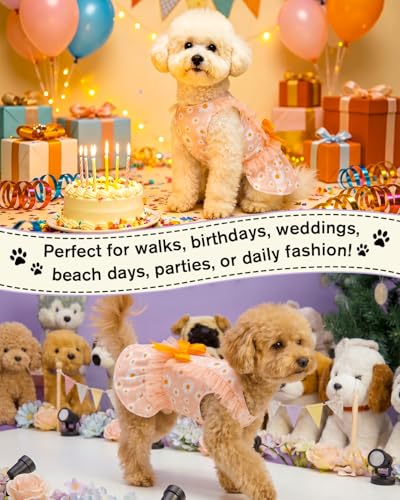 Image of CuteBone Cream Daisy Pet Dress for Small Dogs, Cats - Ruffled Sleeves - Orange Satin Bow - Spring Garden, Photo Dress