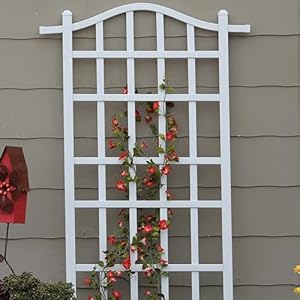 Dura-Trel Melrose 35 x 75 Inch Indoor Outdoor Garden Trellis Plant Support for Vines and Climbing Plants, Flowers, and Vegetables, White Dura Trel Melrose 35 x 75 Inch Indoor Outdoor Garden Trellis Plant Support for Vines and Climbing Plants Flowers and Vegetables White