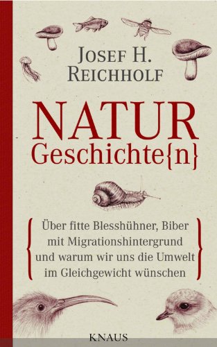 Naturgeschichte(n): Über fitte Blesshühner, Biber mit Migrationshintergrund und warum wir uns die Umwelt im Gleichgewicht wünschen