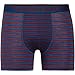 Produktbild icebreaker Herren Anatomica Boxer, Estate Blue-Redwood Stripe, XL