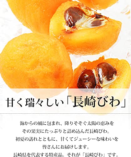 Amazon.co.jp: びわ なつたより 長崎びわ 4パック 12～16粒 露地栽培