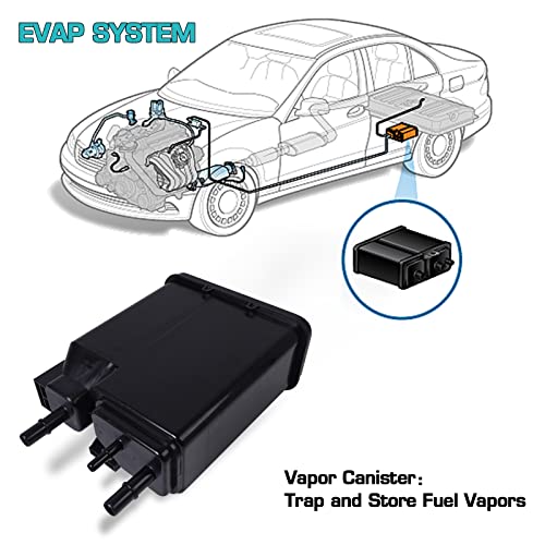 Aumzong 12569373 Vapor Canister,Compatible With 2004-2019 Chevrolet Express Silverado Gmc Savana 2500 3500 Sierra 1500 2500 3500 4.8L 6.0L Replaces 911-095,15137021,Cp545,Cp455 #TOP5